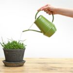 Esschert Design binnengieter groentinten assorti (assortiment – willekeurige uitvoering)