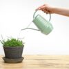 Esschert Design binnengieter groentinten assorti (assortiment – willekeurige uitvoering)