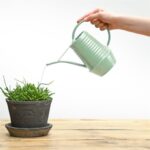 Esschert Design binnengieter groentinten assorti (assortiment – willekeurige uitvoering)