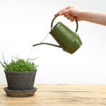 Esschert Design binnengieter groentinten assorti (assortiment – willekeurige uitvoering)