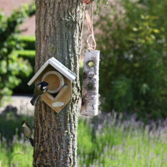 Esschert Design pindakaaspot voor tuinvogels - Afbeelding 2