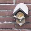 Esschert Design pindakaaspot voor tuinvogels