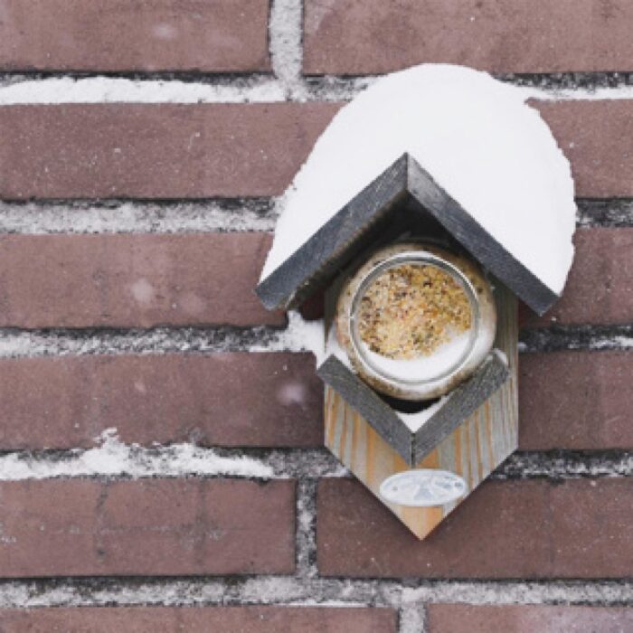 Esschert Design pindakaaspot voor tuinvogels - Afbeelding 3