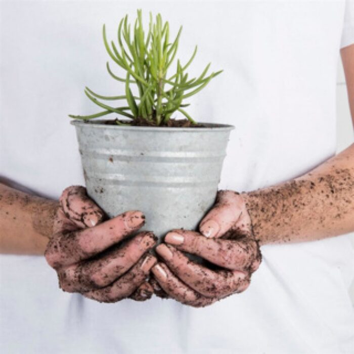 Esschert Design oud zink bloempot 14 cm - Afbeelding 2