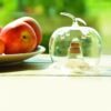 Esschert Design fruitvliegenval appel