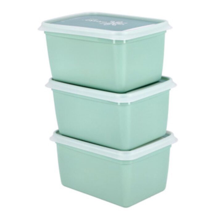 Alaska 3 Diepvriesdozen rechthoekig 1.00 l - Afbeelding 3