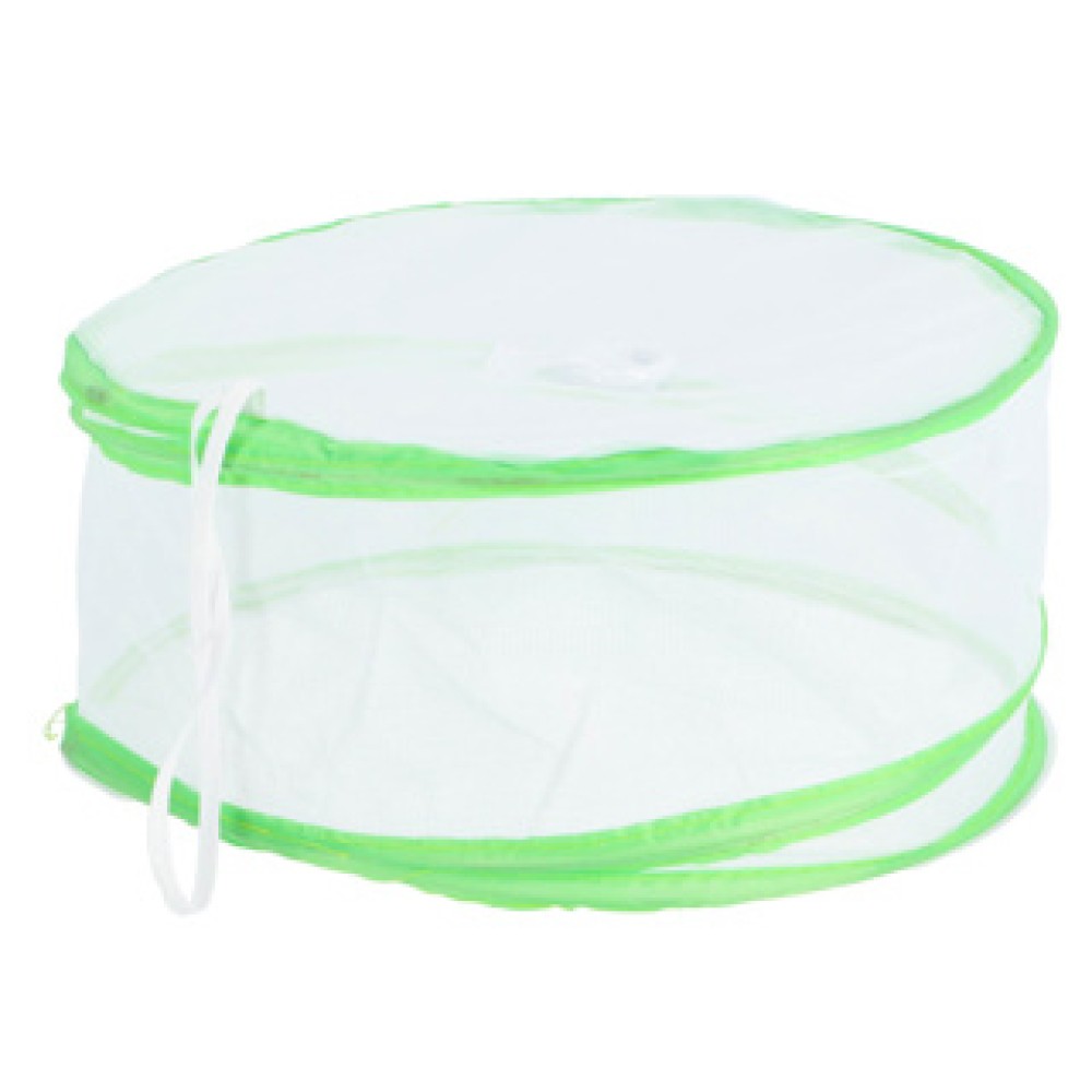 Vliegenkap pop up 30 cm 2 assorti - Afbeelding 5