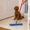 Vileda flipmop pet pro systeem
