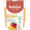 Geurglas True Scents Mango 80/73