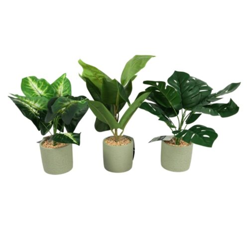 Kunst plant in cementen pot 40 cm 3 assorti