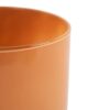 Vaas cilinder astra solid apricot oranje h15 d15
