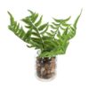 Kunstplant Pteropsida in pot 19 cm groen assorti (assortiment – willekeurige uitvoering)