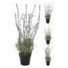 Lavendel Plant in Pot 46 Cm assorti (assortiment – willekeurige uitvoering)