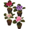 Kunstplant in pot Kaaps viooltje 16 cm 4 assorti (assortiment – willekeurige uitvoering)