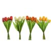 Tulp boeket 7 tulpen 35 cm assorti (assortiment – willekeurige uitvoering)
