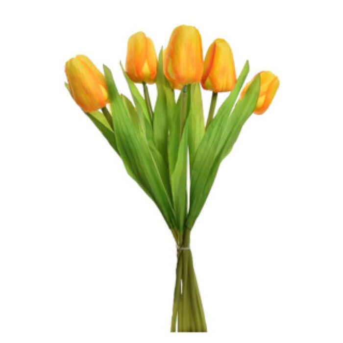 Tulp boeket 7 tulpen 35 cm assorti - Afbeelding 2