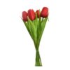 Tulp boeket 7 tulpen 35 cm assorti (assortiment – willekeurige uitvoering)