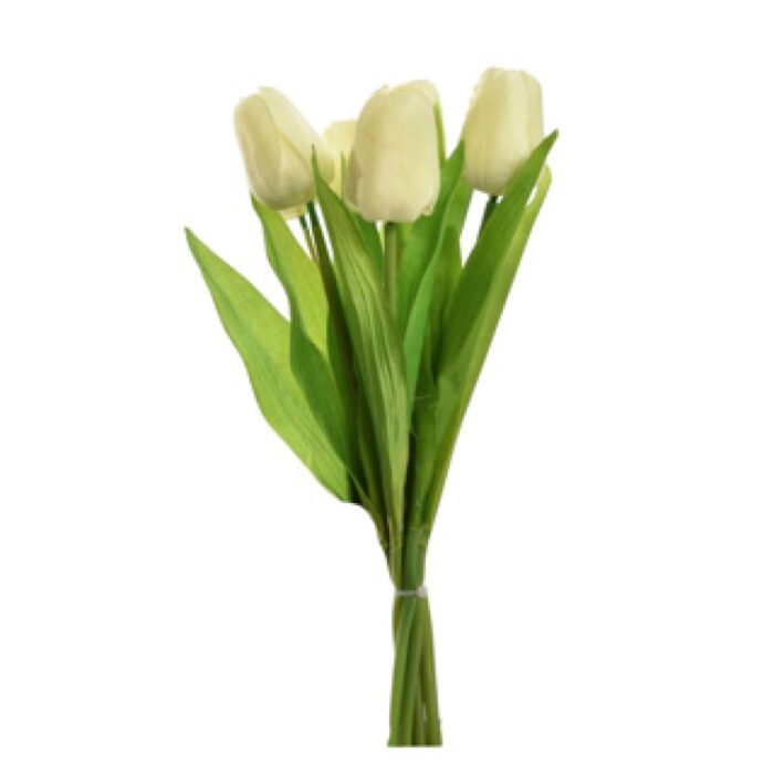 Tulp boeket 7 tulpen 35 cm assorti - Afbeelding 4