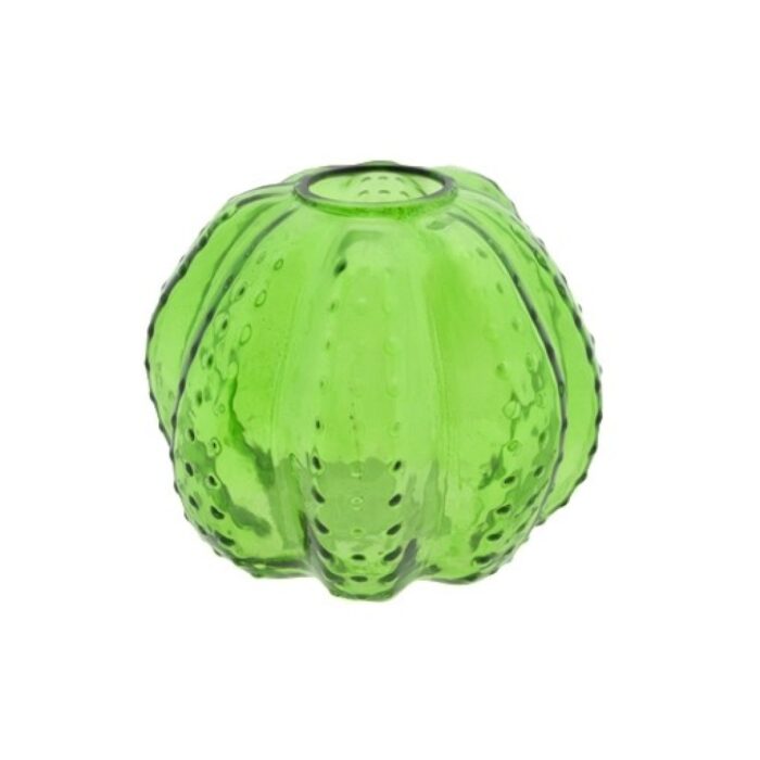 Vaas cactus convex Logan 11 cm groen