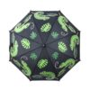 Kleur veranderende paraplu kameleon