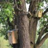 Nestkast groen