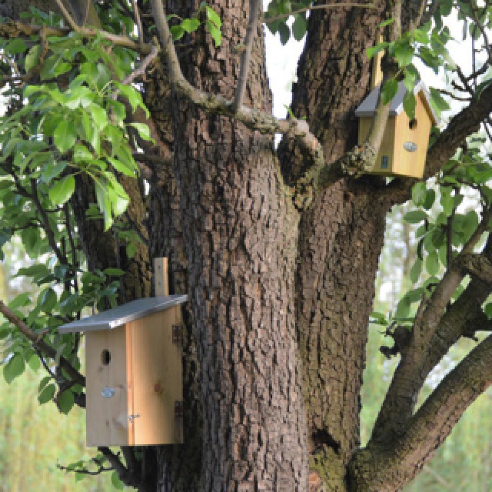 Nestkast groen - Afbeelding 5