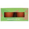 Terracotta potten met bieslook en basilicum zaden 13,5 cm