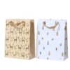 Giftbag papier 2ass