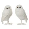 Uil polyester 2assL.9cm x W.8cm x H.15cm