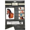 Schilderen op nummer paard