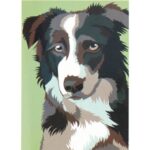 Schilderen op nummer hond