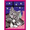 Ravensburger Creart Schilderen op nummer slapende  poezen glitter