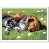 Ravensburger Creart schilderen op nummer slapende  hond en poes
