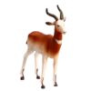 Wilde dieren set 6 delig