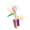 Clementoni geurende bloemen maken Tulp