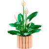 LEGO 11504 Botanicals Lepelplant