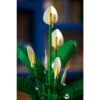 LEGO 11504 Botanicals Lepelplant