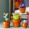 LEGO 10329 Icons Miniplantjes