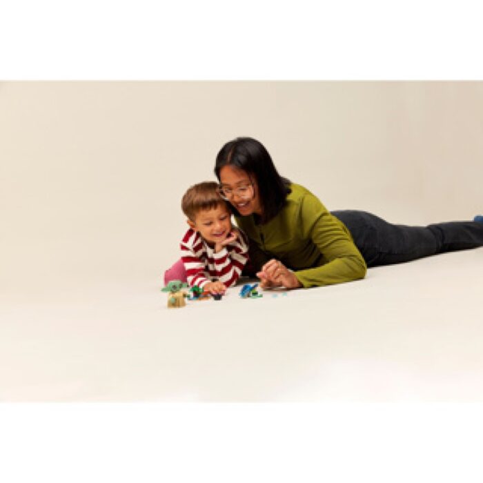 LEGO Star Wars Tm 75443 Grogu's Thuis - Afbeelding 4