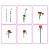 Max bricks Bloemen Rozen Assorti (assortiment – willekeurige uitvoering)