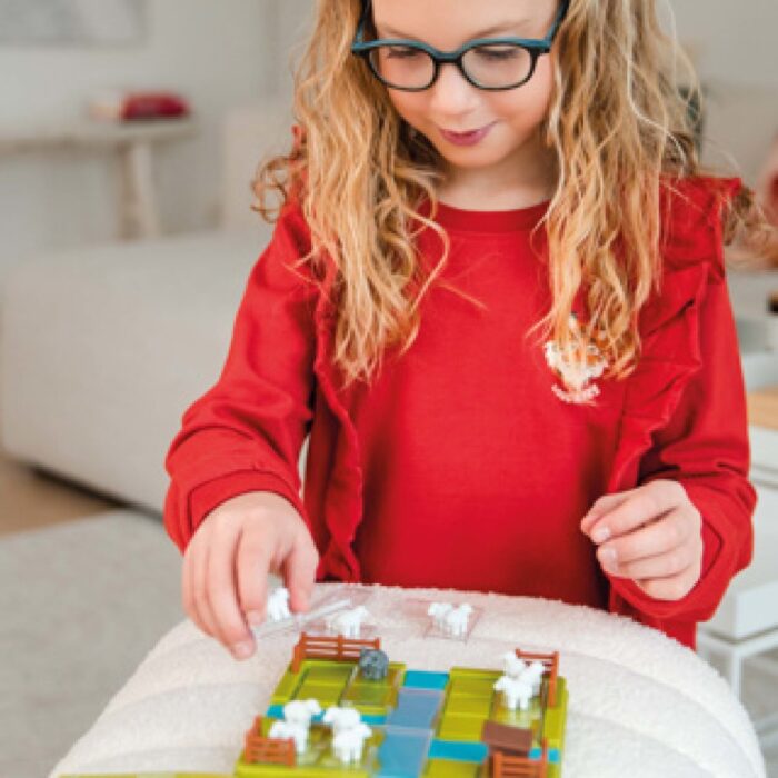 Spel schaapjes tellen - Afbeelding 4