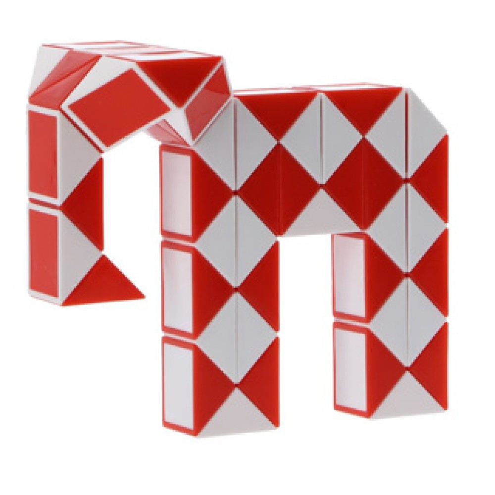 Spel Magische Slang 48 Delig Fidget - Afbeelding 2