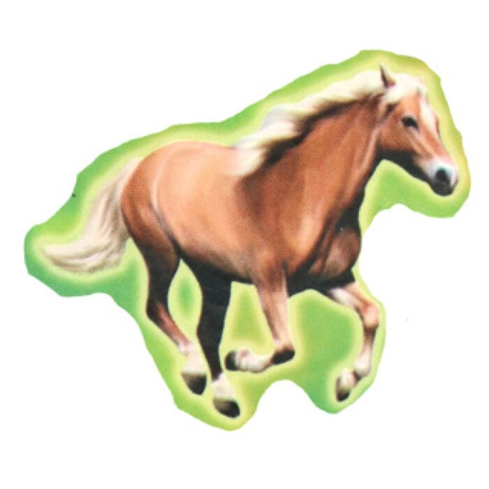 Stickers Paarden - Afbeelding 2