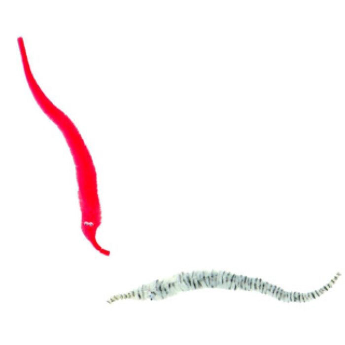 Magic Twisty Wild Life Assorti - Afbeelding 5