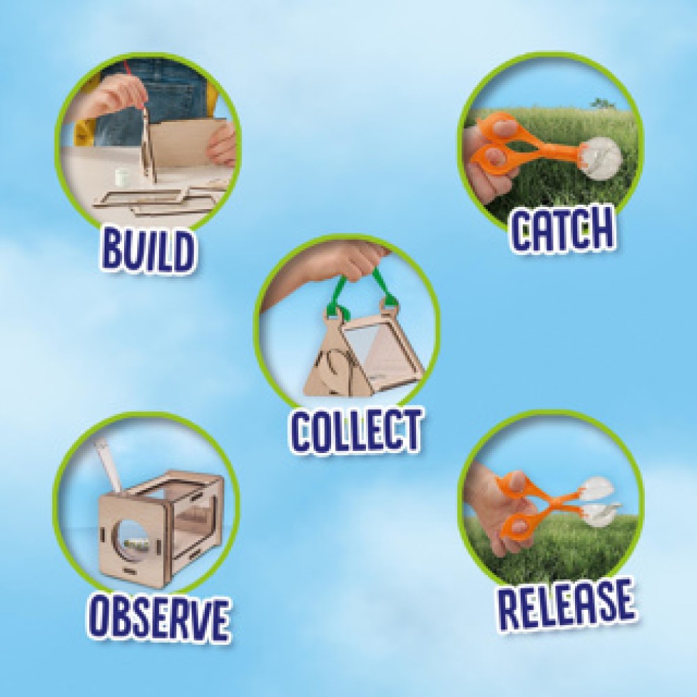 Ses explore insectenobservatie set - Afbeelding 5