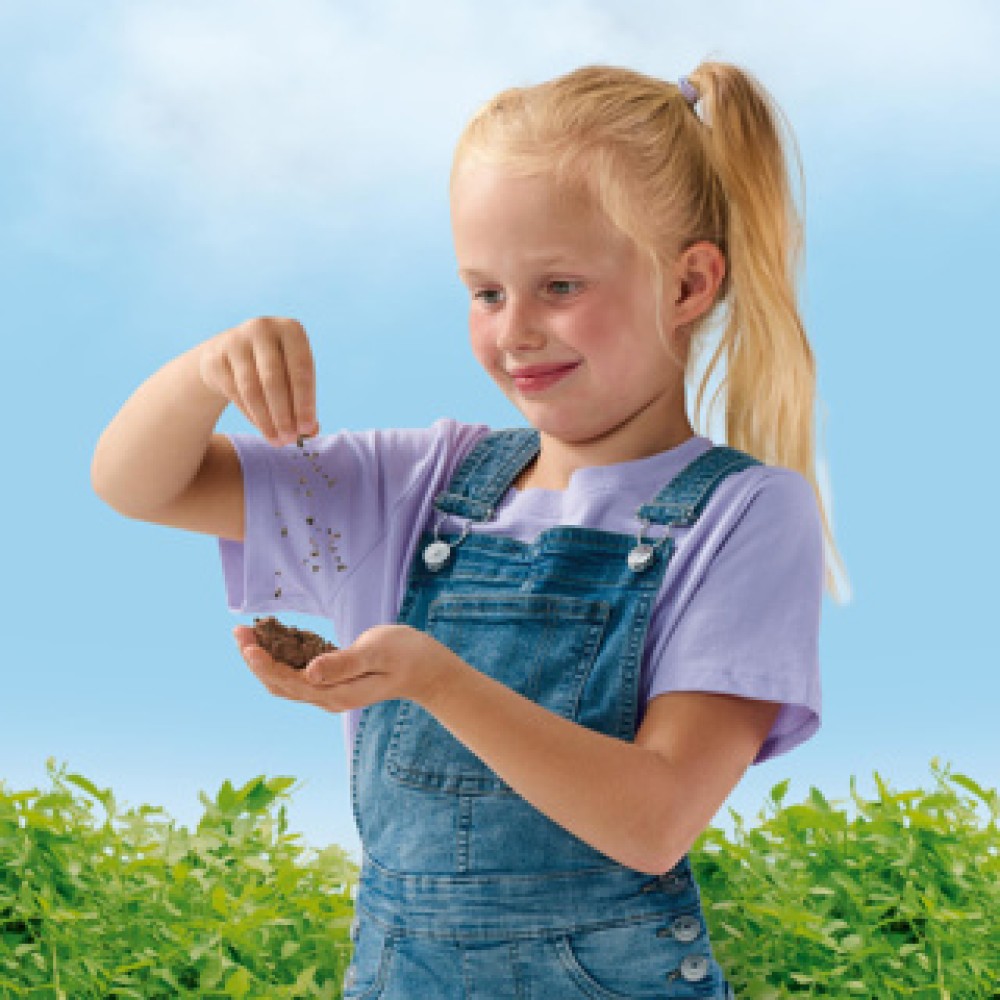 Ses explore vlinder bloembommen set - Afbeelding 3