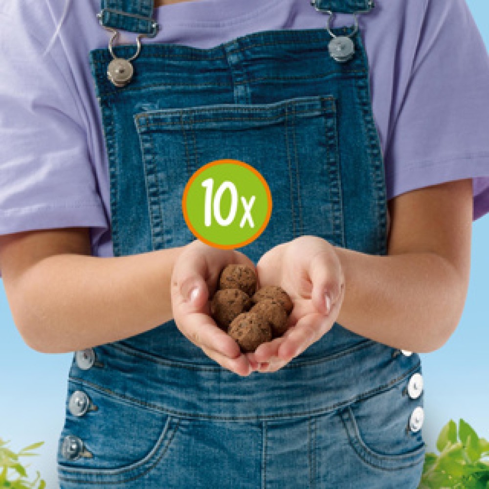 Ses explore vlinder bloembommen set - Afbeelding 4