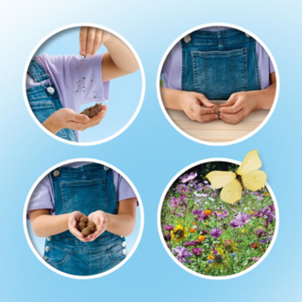 Ses explore vlinder bloembommen set - Afbeelding 5