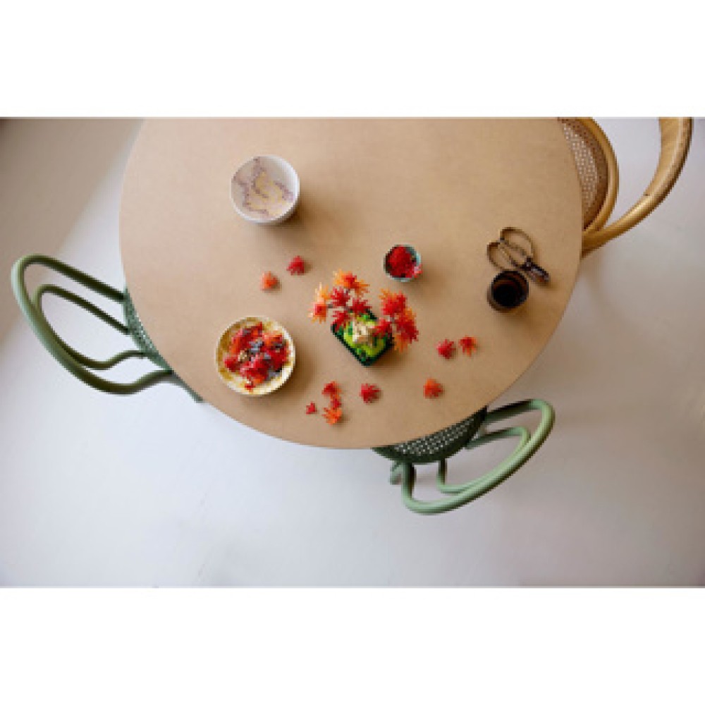 LEGO 10348 Botanicals Japanse esdoorn bonsaiboompje - Afbeelding 3