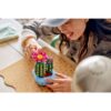 LEGO 11509 Botanicals Bloeiende cactus